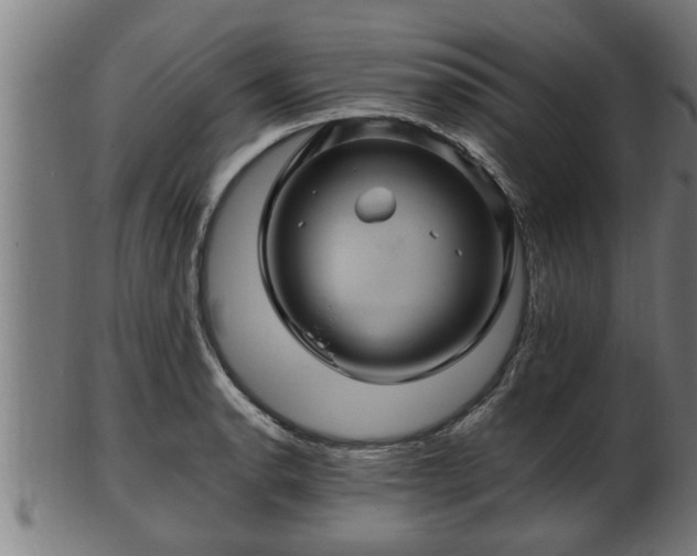 X0000103321134200809121142