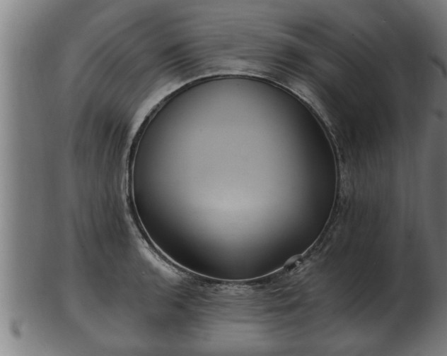 X0000103321136200809121142