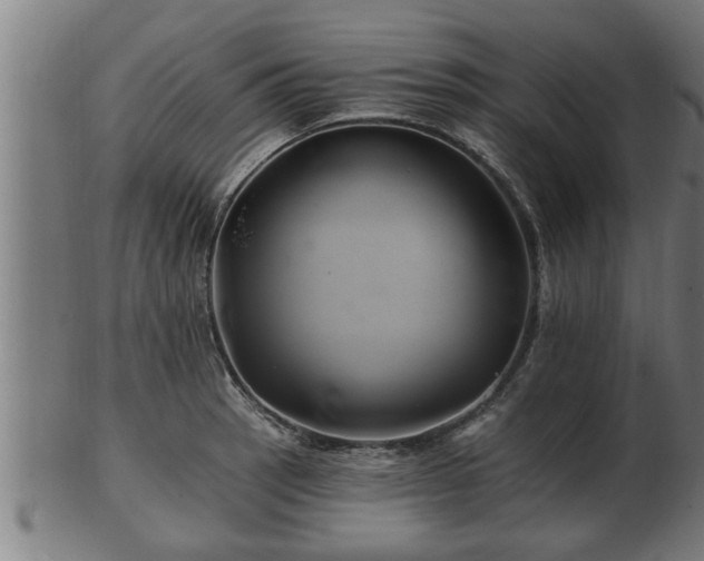 X0000103321137200809121142