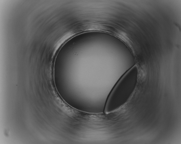 X0000103321138200809121142