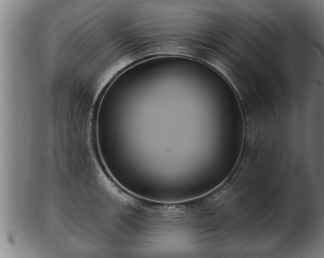 X0000103321139200809121142