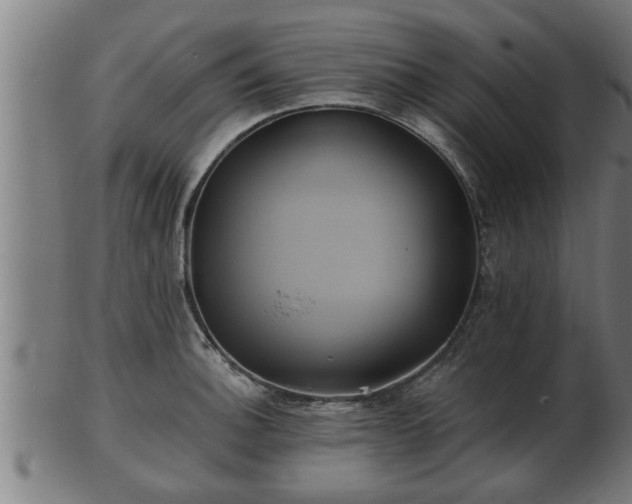 X0000103321140200809121142