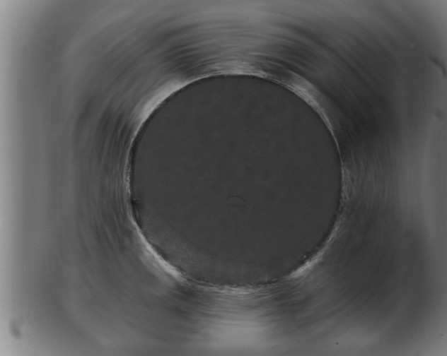 X0000103321141200809121142