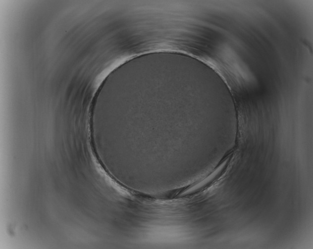 X0000103321142200809121142