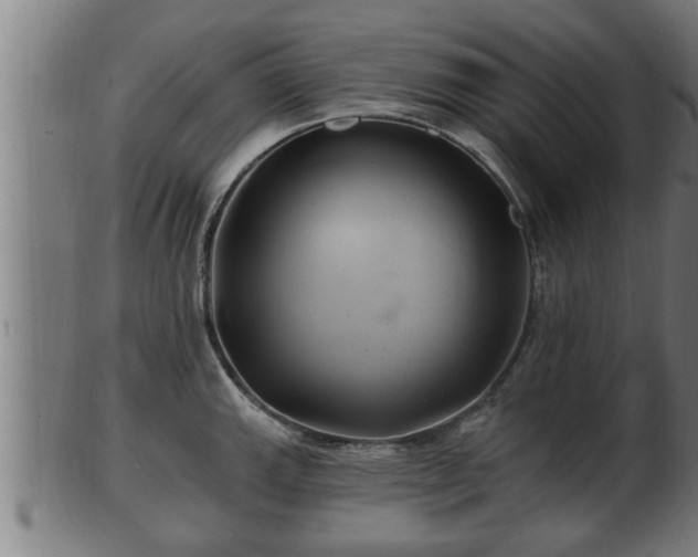 X0000103321143200809121142