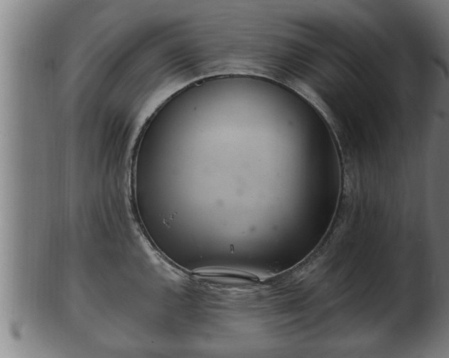 X0000103321144200809121142