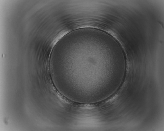 X0000103321145200809121142