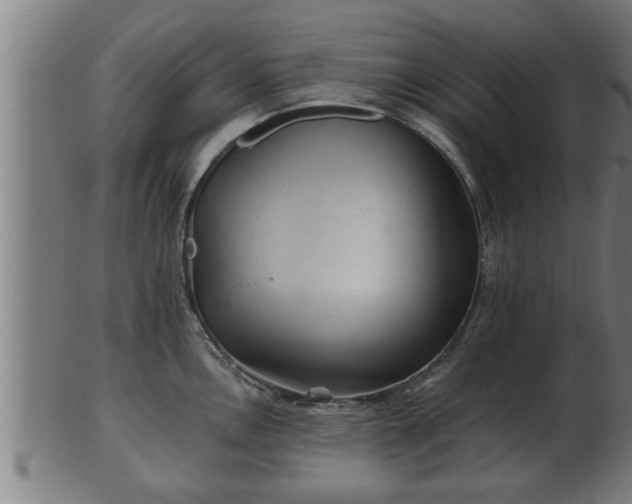 X0000103321146200809121142