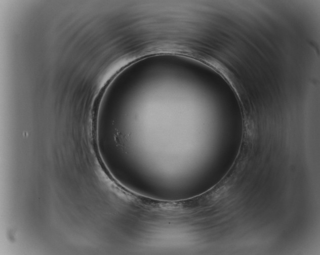 X0000103321147200809121142