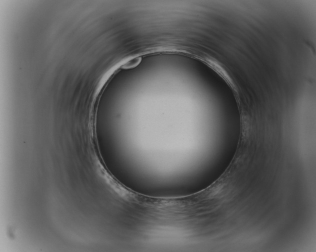 X0000103321148200809121142