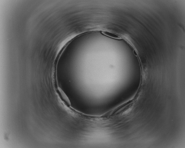 X0000103321149200809121142