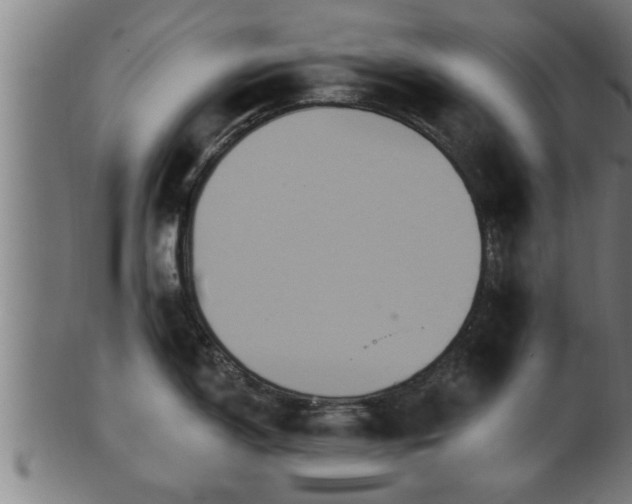 X0000103321150200809121142