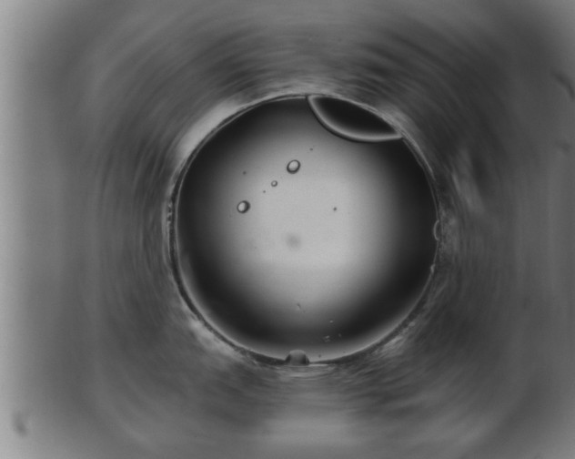 X0000103321151200809121142