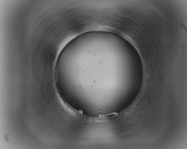 X0000103321152200809121142