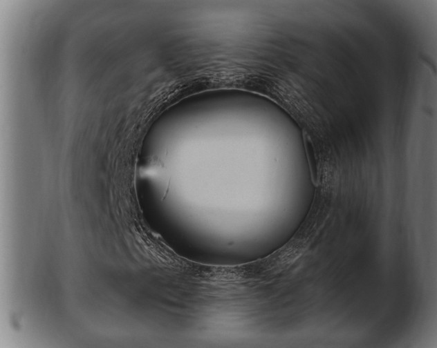 X0000103321153200809121141