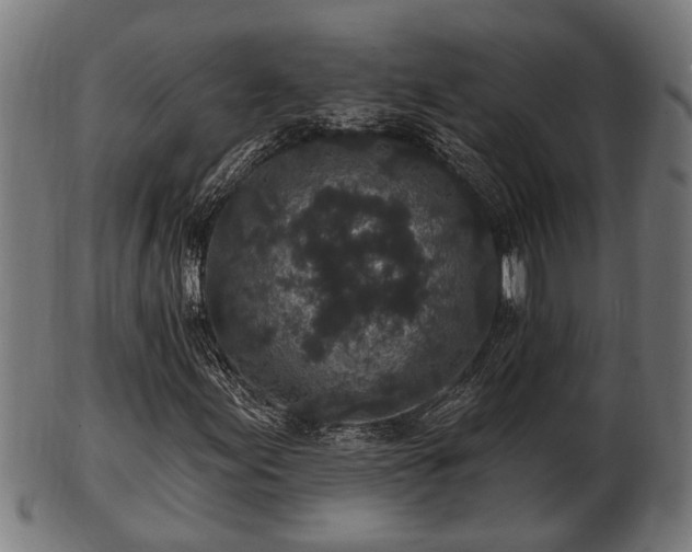 X0000103321155200809121141