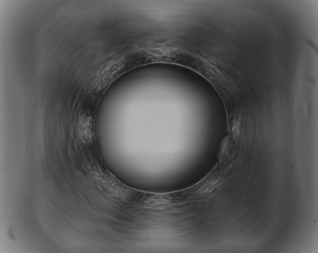 X0000103321156200809121141