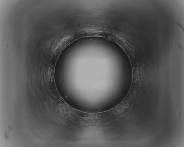 X0000103321157200809121141