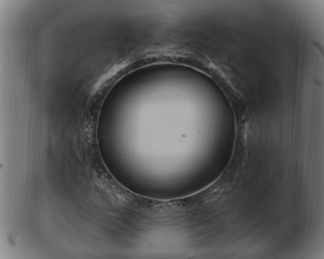 X0000103321159200809121141