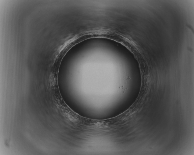 X0000103321160200809121141