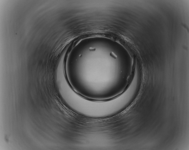 X0000103321161200809121141