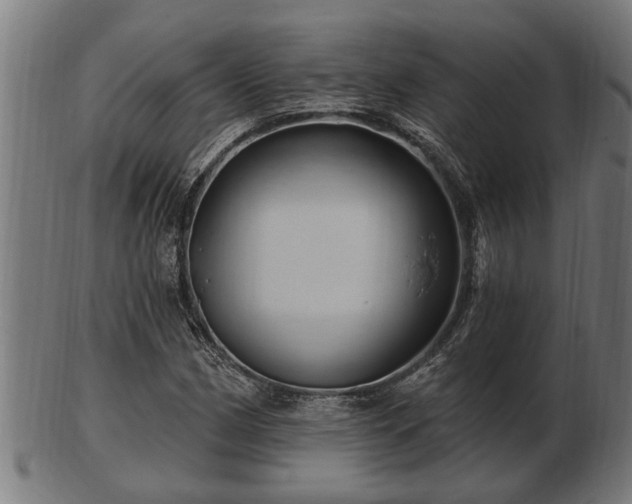 X0000103321162200809121141