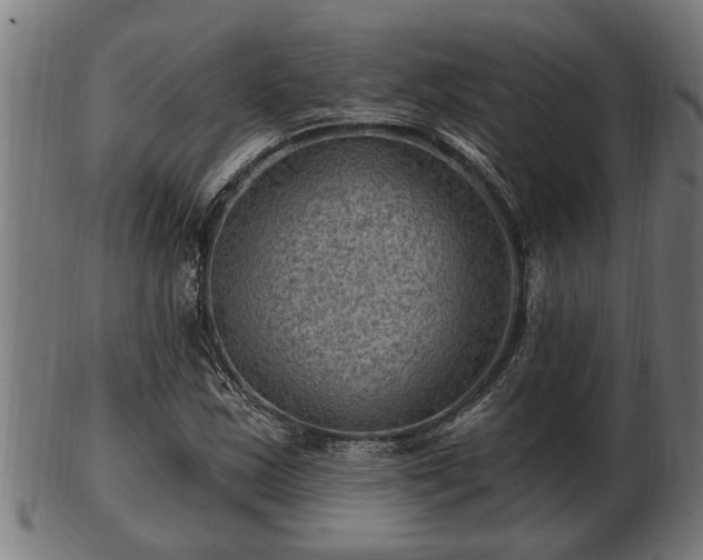 X0000103321163200809121141