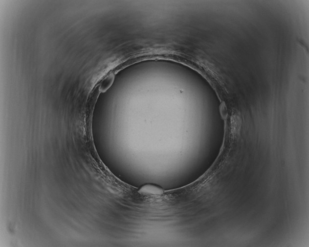 X0000103321165200809121141