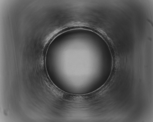 X0000103321167200809121141