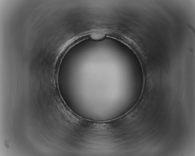 X0000103321168200809121141