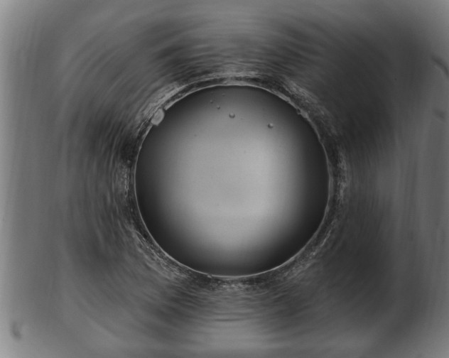 X0000103321169200809121141