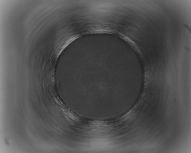 X0000103321170200809121141