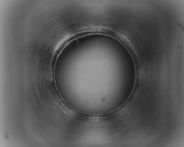 X0000103321172200809121141