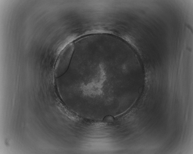 X0000103321173200809121141