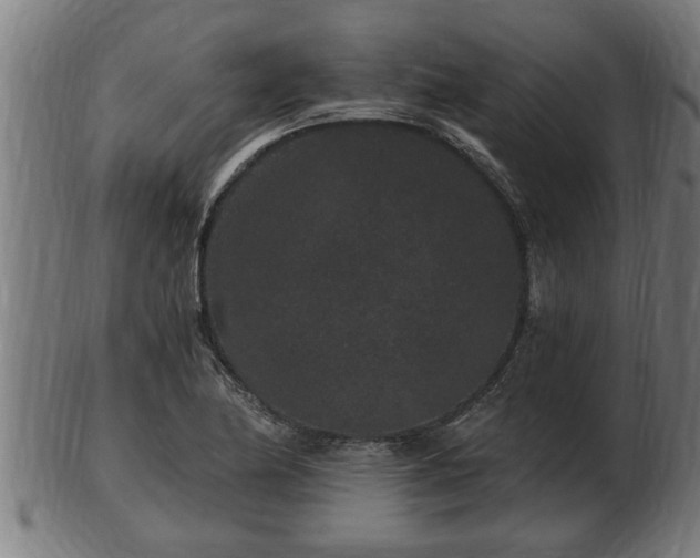 X0000103321174200809121141