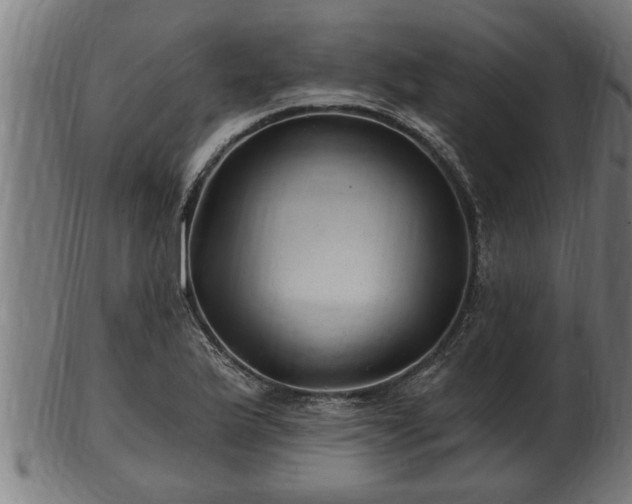 X0000103321175200809121141