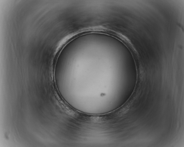 X0000103321176200809121141