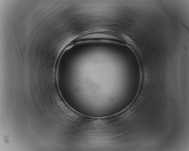 X0000103321178200809121141