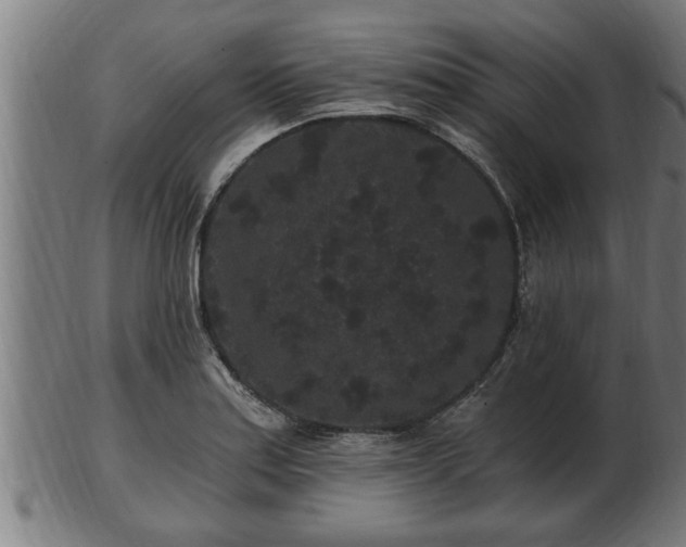 X0000103321179200809121141