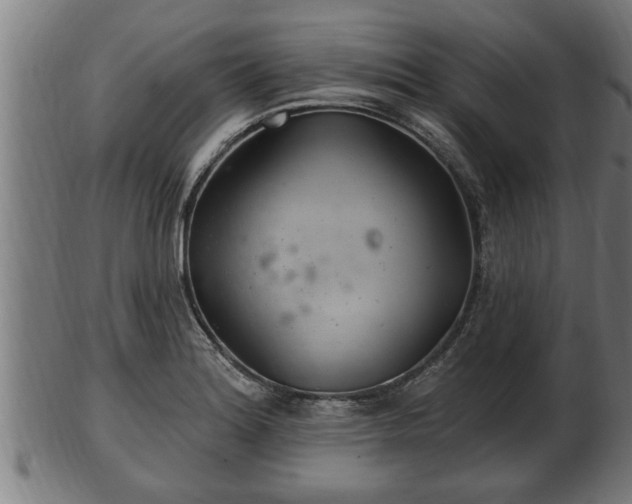 X0000103321180200809121141