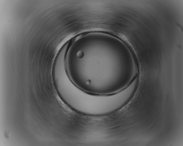 X0000103321181200809121141