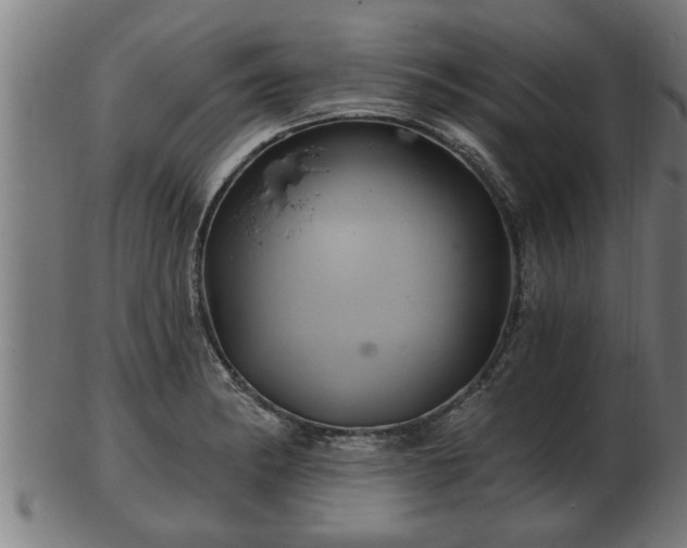 X0000103321182200809121141