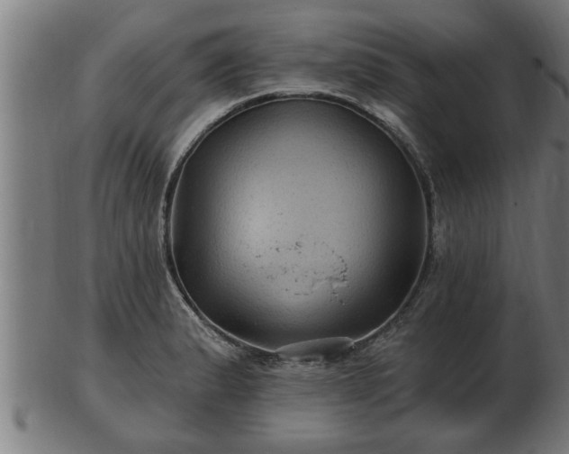 X0000103321183200809121141