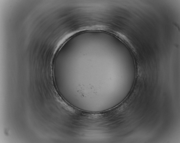 X0000103321184200809121141