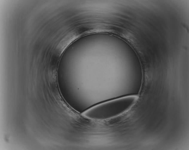 X0000103321185200809121141