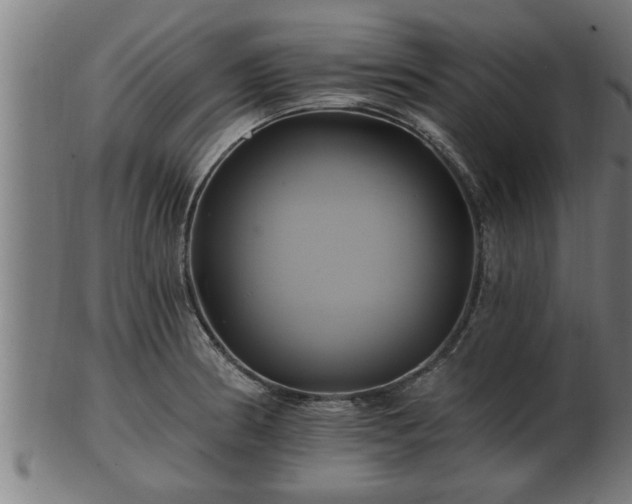 X0000103321186200809121141