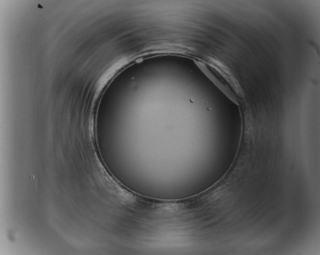 X0000103321188200809121141