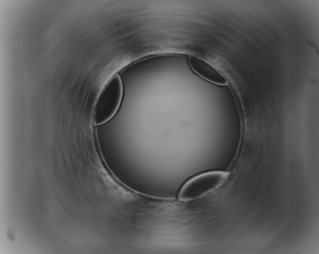 X0000103321189200809121141