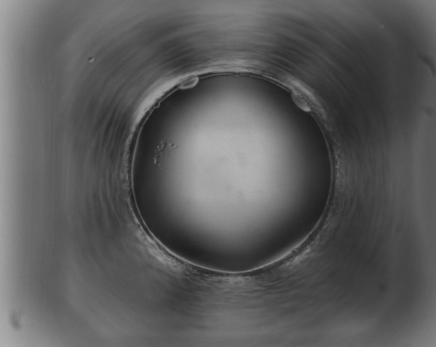 X0000103321192200809121140