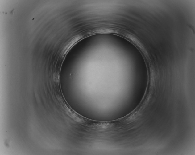 X0000103321193200809121140